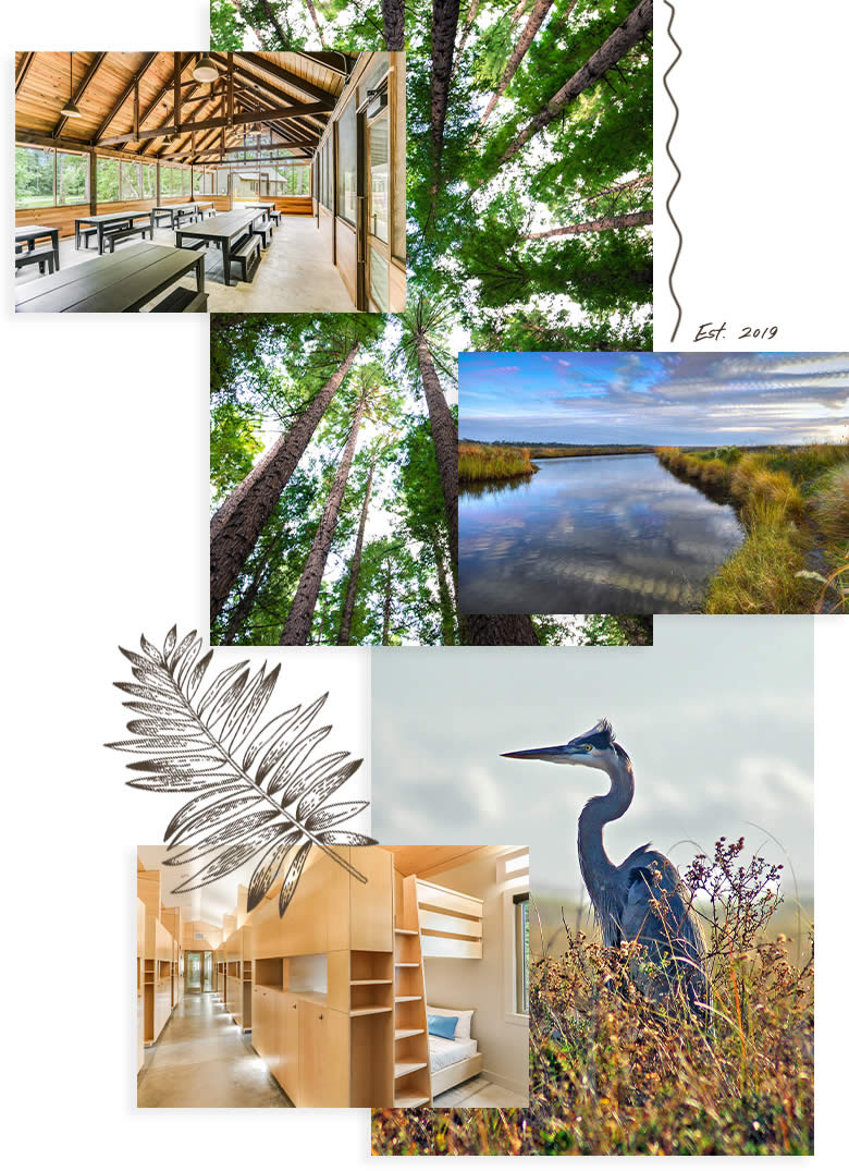 collage of nature images