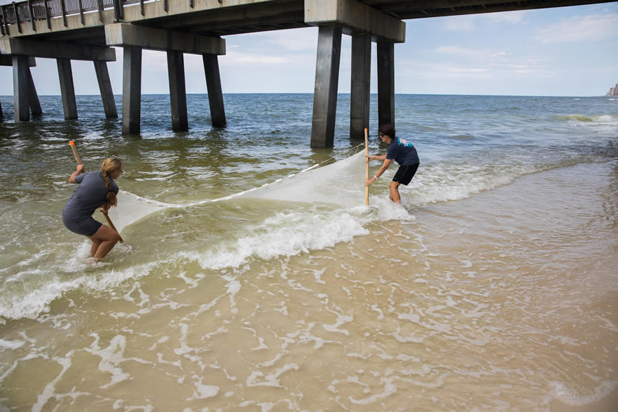 two volunteers working by the Gulf State Park pier